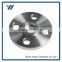 China Top10 Selling Products Professional Class300 Carbon Steel Forging SW Flange