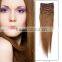 clips on hair/clips in hair/human hair extensions/hair products