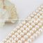 11mm huge AA- perfect round loose pearl strand freshwater bulk pearls