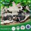 100% natural organic dried black fungus with white back