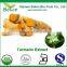 Turmeric Curcumin P.E.