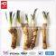 super quality grade A Horseradish Root
