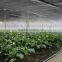 AceFog Greenhouse Cultivation Misting Cooling Machine