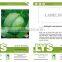 C02 YR green pearl 55 days round cabbage seeds of hybrid vegetable seeds