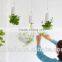 garden plants granule soil