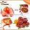 Best quality tomato paste making machine tomato sauce processing machine tomato pulping machine