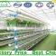 Hydroponic systems greenhouse for agriculture