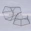 Micro Landscape Geometric Air Plant Succulent Glass Container Vase Pot Terrarium