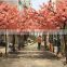 new product wedding decoration indoor & outdoor silk artificial cherry blossom arch