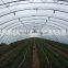 Economical small size single span greenhouse for agriculture