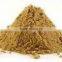 Zingiber officinale Extract