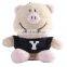 Manufacture Pink And Beige Plush Pig Stuffed Animal Keychain