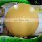 3 m Inflatable Planet Balloon Inflatable Sun Helium Ball Inflatable Advertising Decoration Party