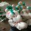 100% virgin material Plastic trellis net/plant climbing support netting/cucumber vine Pea & Bean netting