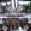 CE Approved Foshan Factory 1kg Bag Cashew Nut Vertical Form fill Seal Packing Machine