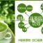 Matcha Green Tea,Tea Powder.100%Organic,Fine Powder Tea