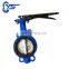 Worm Gear Operate Ductile Iron DN200 DN400 Rubber Lining Butterfly Valve For Water