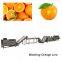 Industrial Vegetable Washer/Fruit And Vegetable Washer Line