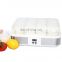 Antronic ATC-1101B Digital Yogurt Maker For Home Use