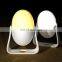 Portable Cute Egg Movable Shape Rest Bedroom Kids Livingroom Indoor Led Baby Night Light With Dismountable Support