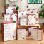 2022 New Arrival Wholesale Strawberry Cartoon Gift Box Paper Packaging Bag