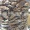 Wholesale Dry Sea Cucumber