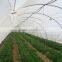 greenhouse insect proof net/HDPE plastic anti insect mesh/anti-aphid net