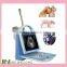 MSLVU18 Christmas promotion Portable vet ultrasound machine price used on dogs, cats, pigs ect.