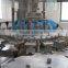 Automatic CGF Series Pure Water Machine