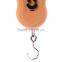 Hand Held 40kg Digital Hanging Scale