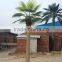 Factory Direct Cheap Artificial Palm Tree Made in China