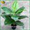 indoor fake bonsai plastic plants artificial bonsai