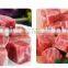 Meat Dice Cutting Machine|Meat Dicing Machine