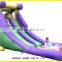 Cheap Commercial Grade Giant Inflatable Water Slide for Adult, Largest Inflatable Water slide