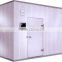 Standard Modular cold room with painted galvanized steel material