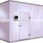 Modular standard cold room made of PU panel