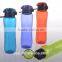 Fashional Plastic Water Bottle Sports Bottle Fruits Bottle