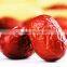 Chinese bulk organic red jujubes