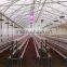 90Watt Newest dimmable and programmable led dimmable Grow lights best for grow house