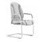 Leather Upholstery Design Conference Chairs with Sled Base