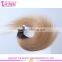 Best quality 7A quality two tone peruvian remy hair tape hair extension skin weft