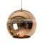 Dining room Decor Colorful Changing Pendant LED Light