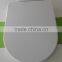 Germany style D shape toilet seat mold with plastic hinge