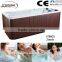 Norway style balboa swim spa for family mini swimming pool spa