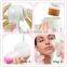 cleanser facial sonic fresh korea dead skin removal brush