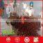 Walnut Sandwish Red Date Factory Price Export to Korea