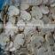 frozen champignon mushroom slice