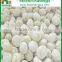 CHINA IQF cultivated mushroom