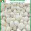 BRC,KOSHER,HALAL frozen cultivated mushroom