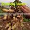 high demand snack foods new production roasted salted peanuts canned salted peanuts roasted salted peanuts 1kg price